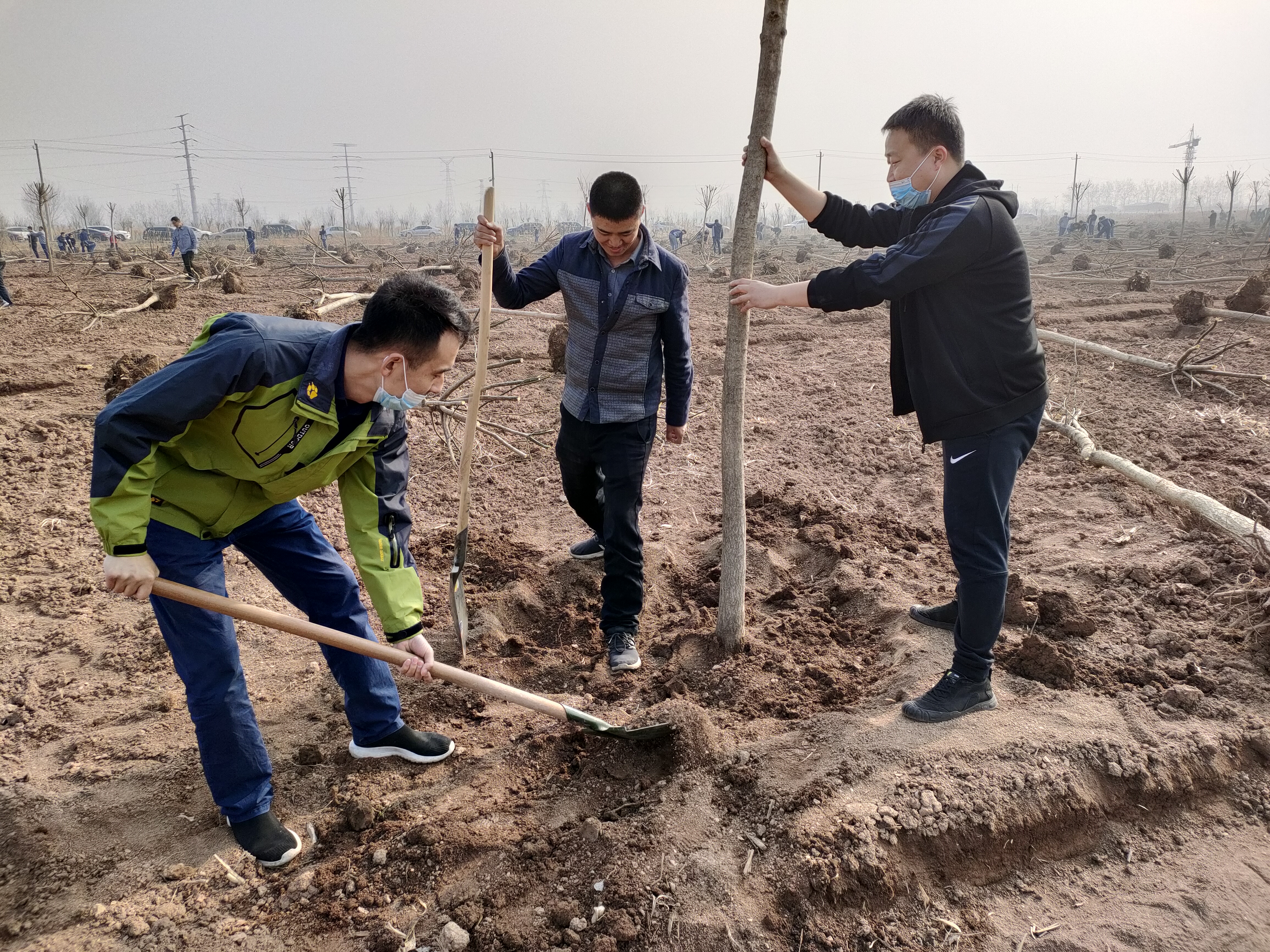 植樹節(jié)活動(dòng)